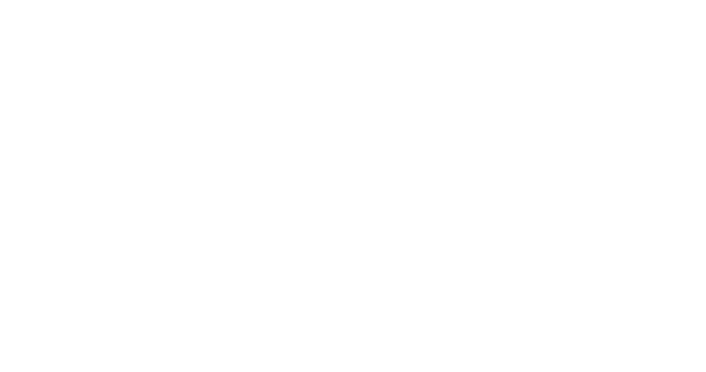 Specialised Finance